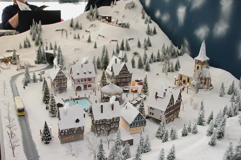 Gymnasium Lohne Vereinsausstellung 2014 ( 42)