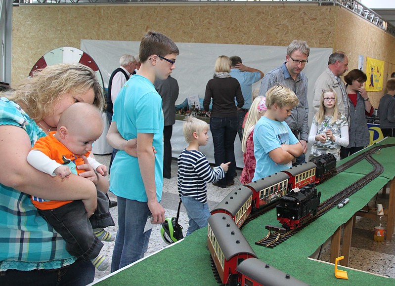 Gymnasium Lohne Vereinsausstellung 2014 ( 71)