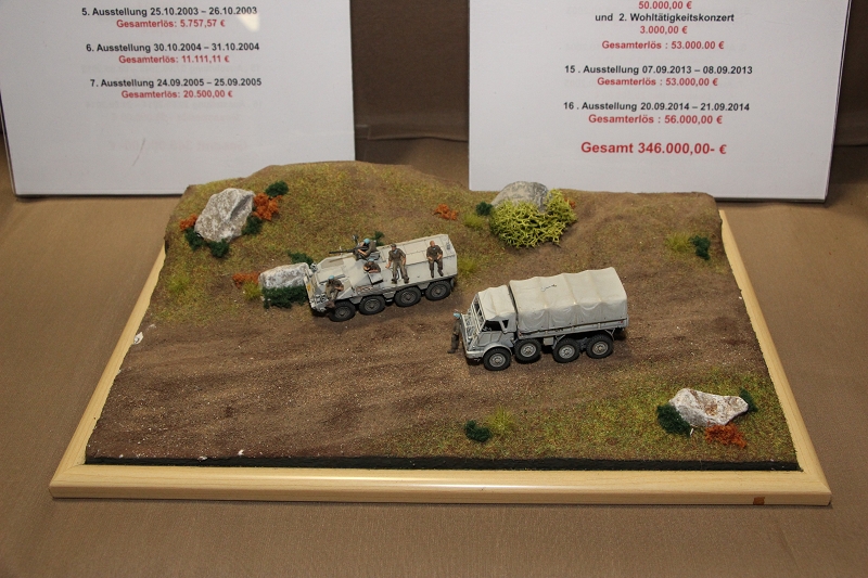 Gymnasium Lohne Vereinsausstellung 2014 (103)