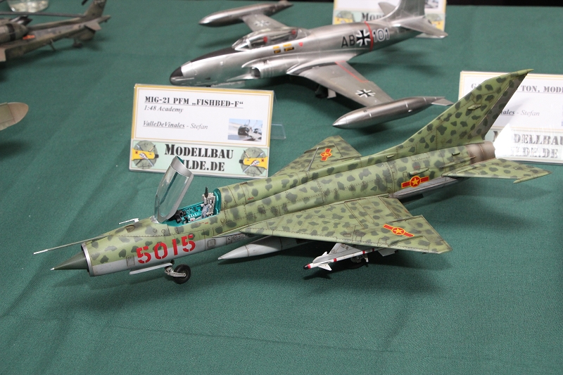 Gymnasium Lohne Vereinsausstellung 2014 (117)