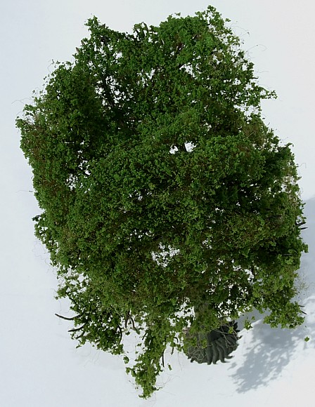 vw käfer 355 vw käfer 355