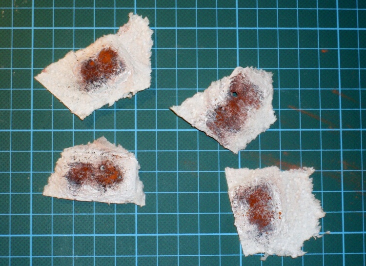 SB-Kai-01.11 SB-Kai-01.11